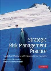 Strategic Risk Management Practice : How to Deal Effectively with Major Corporate Exposures