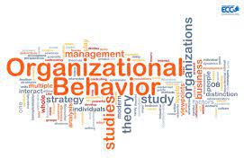 Organizational behavior: