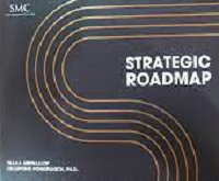Strategic roadmap